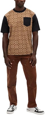 コーチ SS24 カラーブロック プリント クルーネック 半袖Tシャツ カーキ CO789-OFZ Lookbook コーチ SS24 カラーブロック プリント クルーネック 半袖Tシャツ カーキ CO789-OFZ