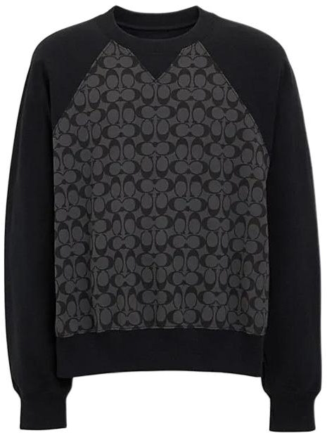 coach-ss-24-printed-crewneck-long-sleeve-sweatshirt-charcoal-grey-co-825-r8-e