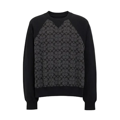COACH SS24 Printed Crewneck Long Sleeve Sweatshirt Charcoal Grey CO825-R8E
