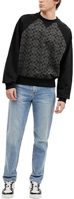 COACH SS24 Sweater Lengan Panjang Cetak Abu-Arang CO825-R8E Lookbook COACH SS24 Sweater Lengan Panjang Cetak Abu-Arang CO825-R8E