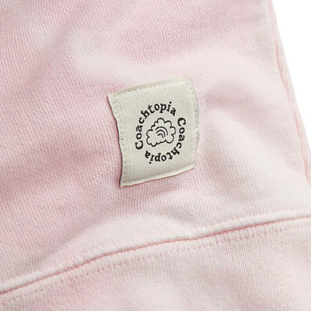 Sizing COACH Star Print Hoodie Unisex Long Sleeve Light Pink. CN988-M05