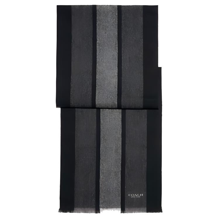 Coach Striped Wool Comfort Scarf 76059-RIA
