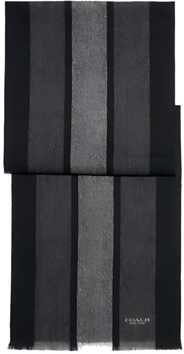 coach-striped-wool-comfort-scarf-76059-ria