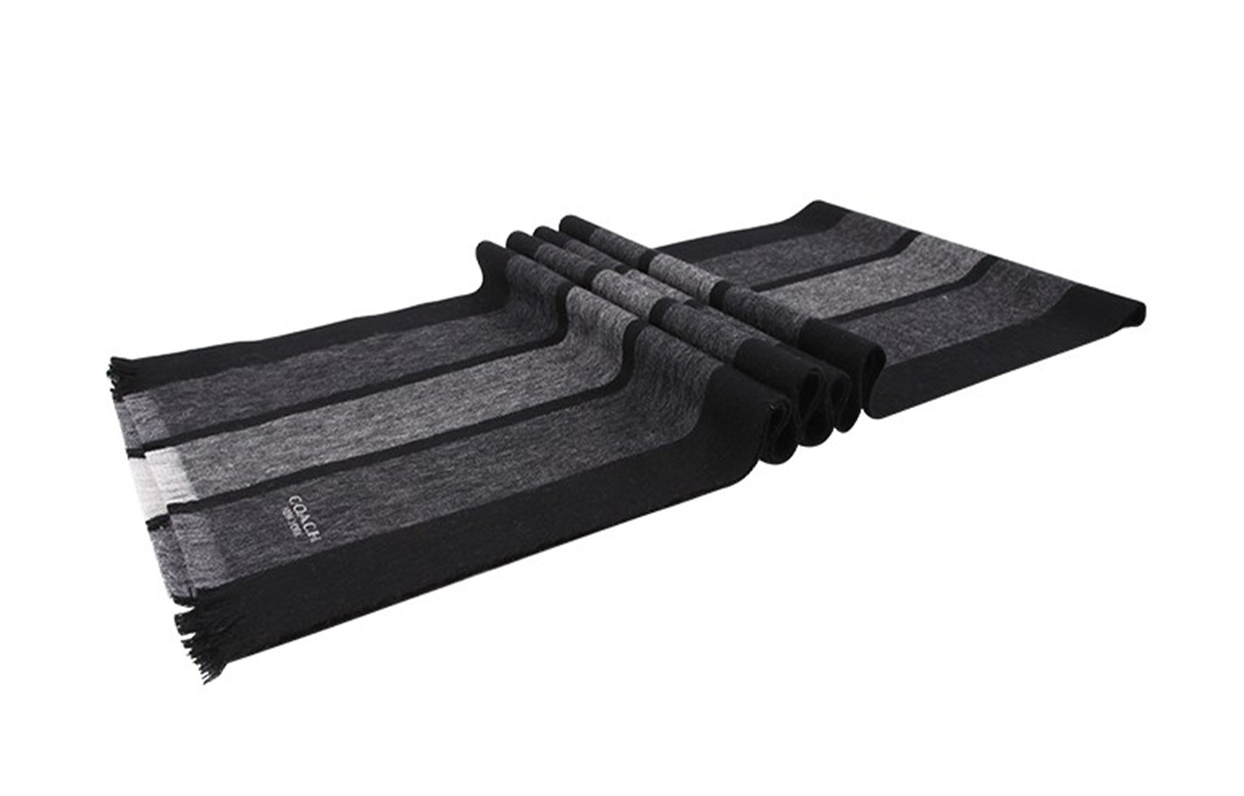 Shop コーチ ストライプ柄 ウール コンフォート スカーフ 76059-RIA