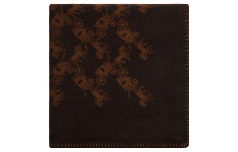 COACH Unisex Carriage Print Knit Scarf Brown - Couple Style C6394_CHT