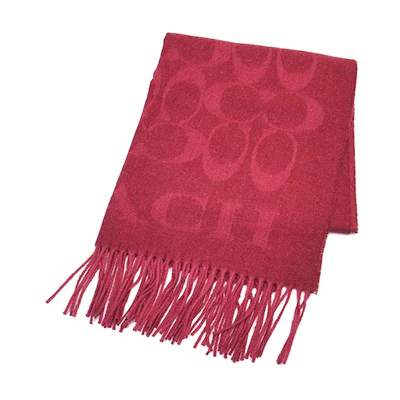 COACH Unisex Cashmere Logo Scarf F39703-CHE