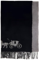 COACH Unisex Long Fringe Wool Scarf - Warm Sheepskin Fleece 4622-BKHG COACH Unisex Long Fringe Wool Scarf - Warm Sheepskin Fleece 4622-BKHG