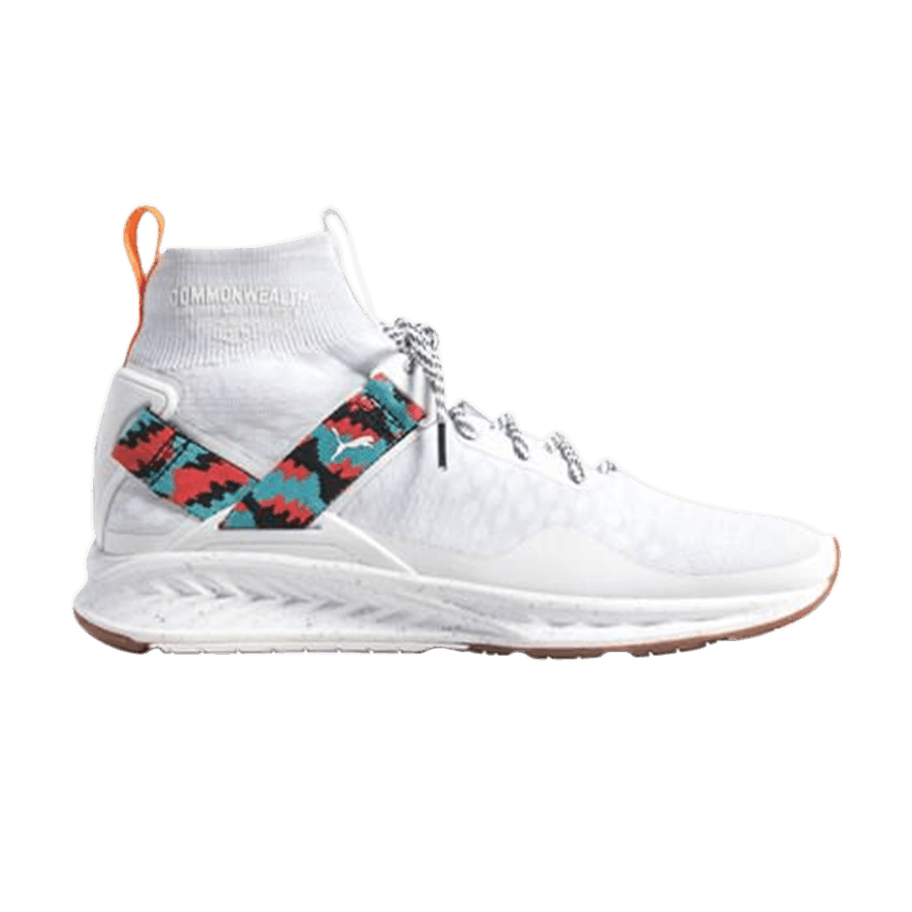 Buy Commonwealth x Puma Ignite evoKNIT '白色' 190355-01
