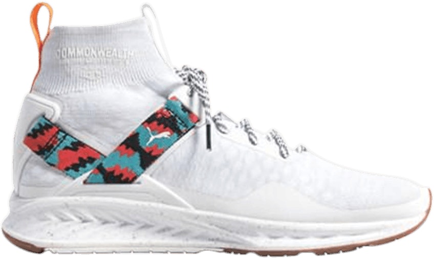 commonwealth-x-puma-ignite-evo-knit-white