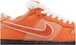 Order Concepts x Nike SB Dunk Low 'Orange Lobster' Kotak Khas. FD8776-800-SB
