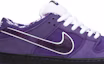 Order Concepts x Nike SB Dunk Low 'Purple Lobster' BV1310-555