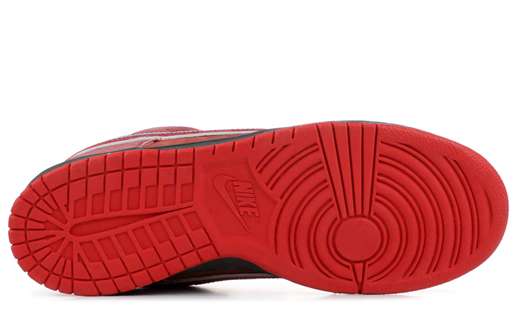 Nike Concepts SB Dunk Low 'Red Lobster' 圖 5