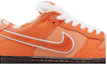 Lookbook Concepts x Nike SB Dunk Low SP '橙色龍蝦' FD8776-800