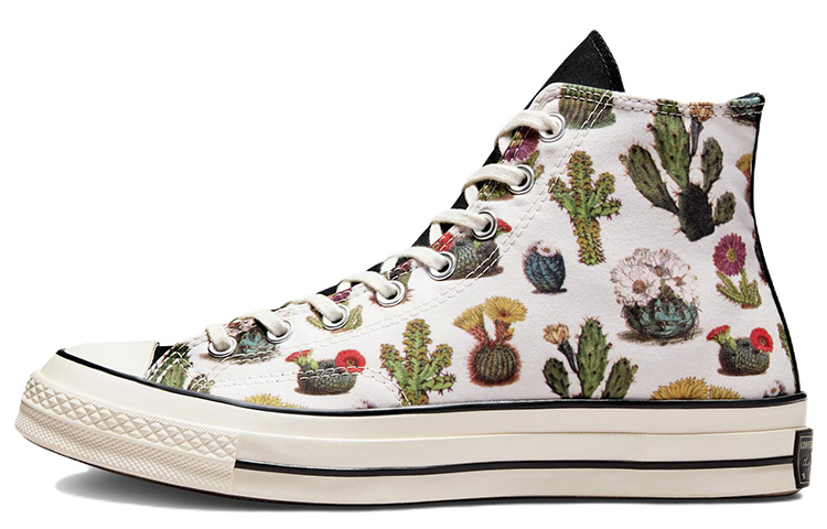 Buy Converse Chuck 70 High 'Suculentas' A00653C