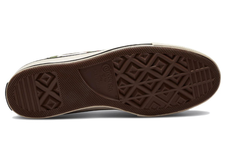 Details for Converse Chuck 70 高筒 '多肉植物' 版 A00653C