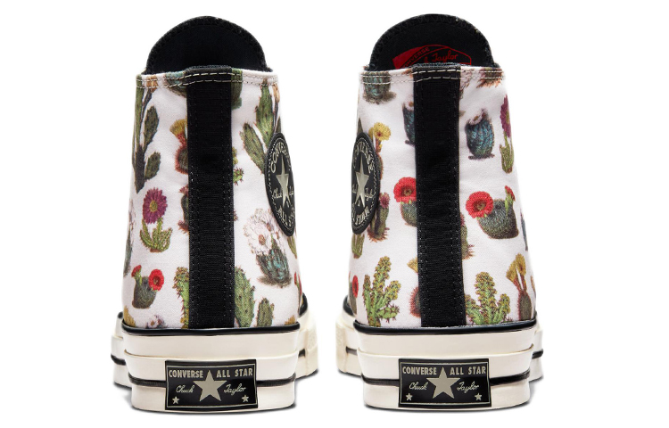 Details for Converse Chuck 70 High 'Suculentas' A00653C