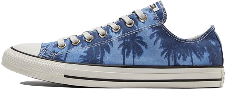 converse-chuck-taylor-all-star-low-print-blue-171299-c