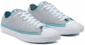 Converse Chuck Taylor All Star Low 'Summer Daze - Abu Batu' 170831F