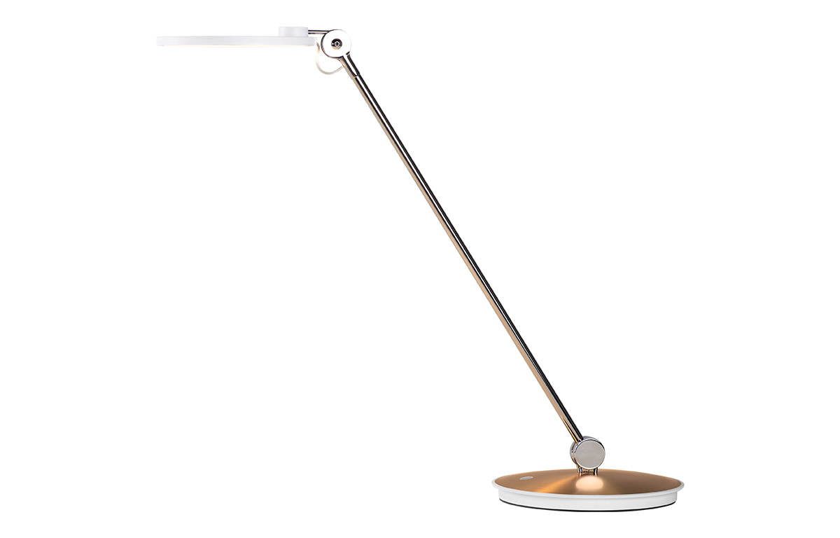 Converse Chuck Taylor All Star RC Leather Hi 'Mole'