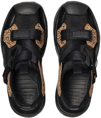 Converse MSD CP ''Coklat Hitam'' 34201840 Shop Converse MSD CP ''Coklat Hitam'' 34201840