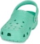 Shop Crocs Klasik Clog 'Jade Stone' 10001-3UG