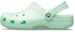 Buy 크록스 클래식 비치 샌들 (민트그린) 10001-3TI
