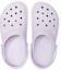 Purchase 卡骆驰 Crocband Logo Mania 洞洞鞋 '淡紫色' 205914-549