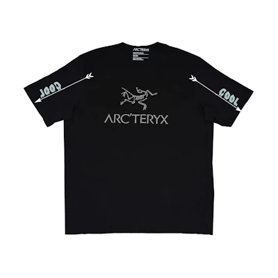 Custom Arcteryx Arc'Word Logo Print Outdoor Unisex Breathable Casual T-Shirt X000007991(Team702-COOL)