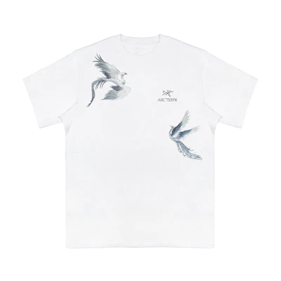 Custom Arcteryx KRAGG Extraordinary Embroidered Casual Unisex T-Shirt. X000009535(Team469-)