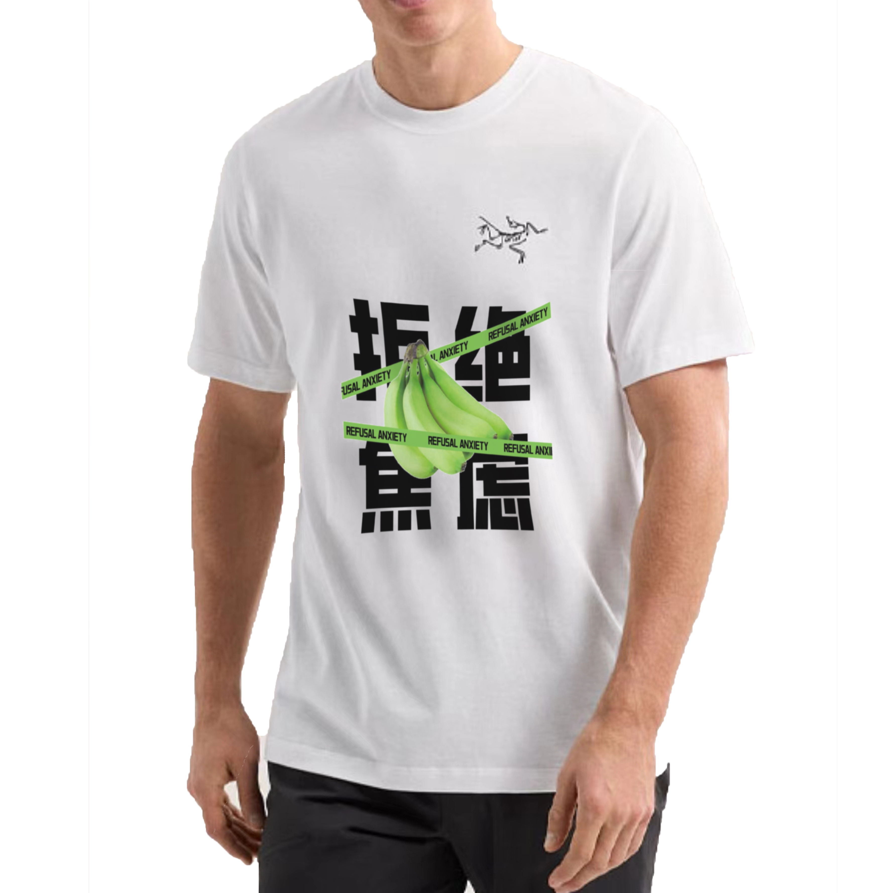 Sizing Custom Arcteryx Van Gogh Multi Bird Logo Retro Graphic Tee -  Short Sleeve. X000007747(Group326