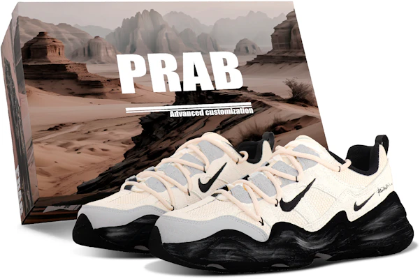 Zapatillas Bajas Casual Nike Tech Hera Lunar Explorer Beige Vintage Custom. FJ9532-101 (Team375 Moon Explorer SBOX) Buy Zapatillas Bajas Casual Nike Tech Hera Lunar Explorer Beige Vintage Custom. FJ9532-101 (Team375 Moon Explorer SBOX)