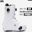 Shop DC Shoes Entry Level Snowboard Boots 'White BOA Adjustment' ADYO100067-WHB