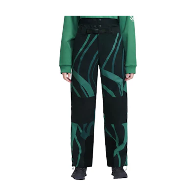 DESCENTE Unisex Waterproof Windproof Snowboarding Pants Green. D3133OSP60