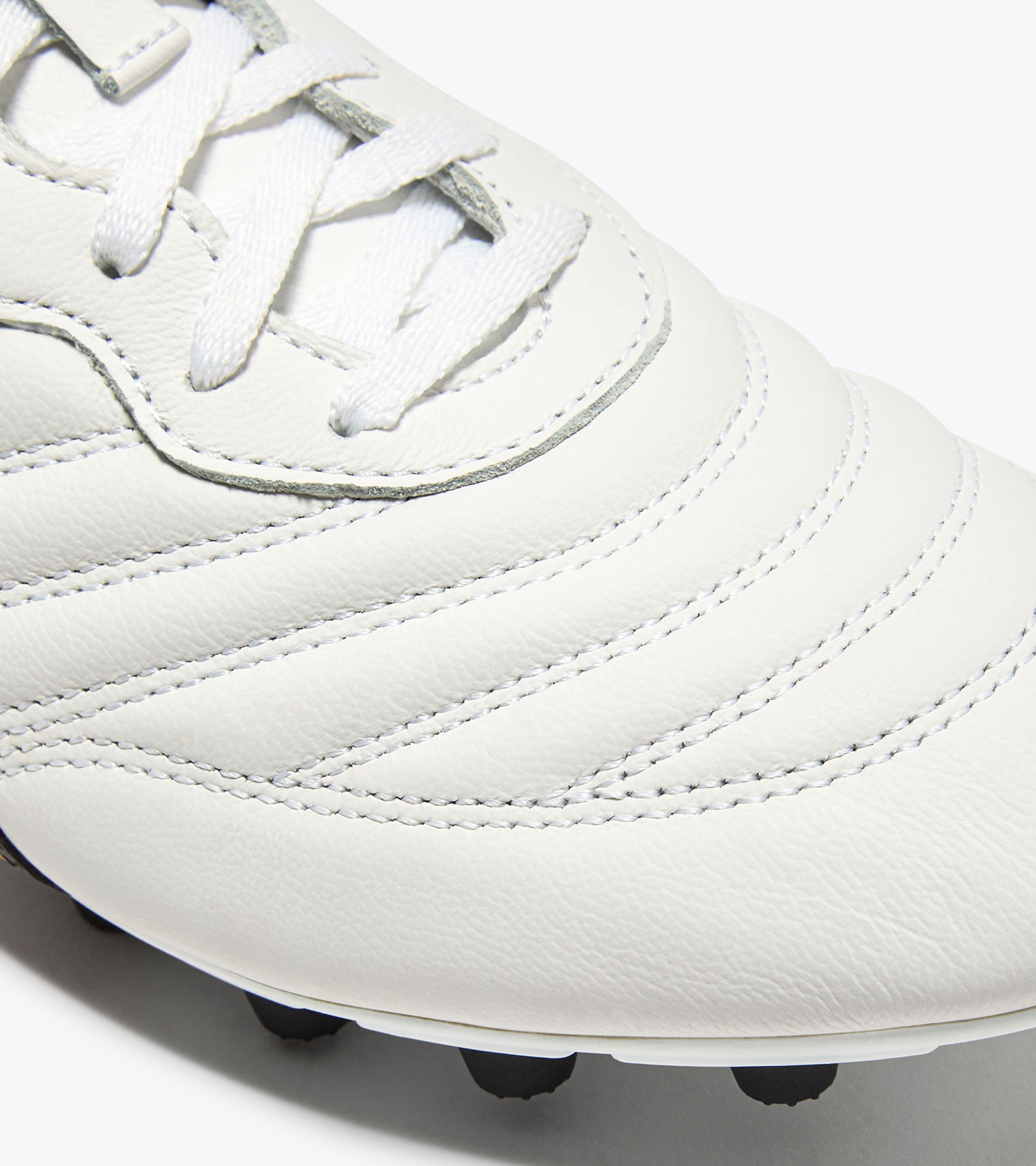 Lookbook ディアドラ BRASIL LT T MDPU 101.180697_C1070