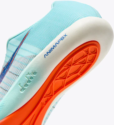 Diadora VELOCITA 碳纖維運動鞋 101.180230_D1243 Purchase Diadora VELOCITA 碳纖維運動鞋 101.180230_D1243