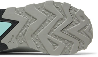 Purchase Diamond Supply Co. x Puma RS-XL「75週年紀念」393481-01
