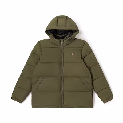 Dickies Casual Unisex Hooded Fashion Jacket DK012254