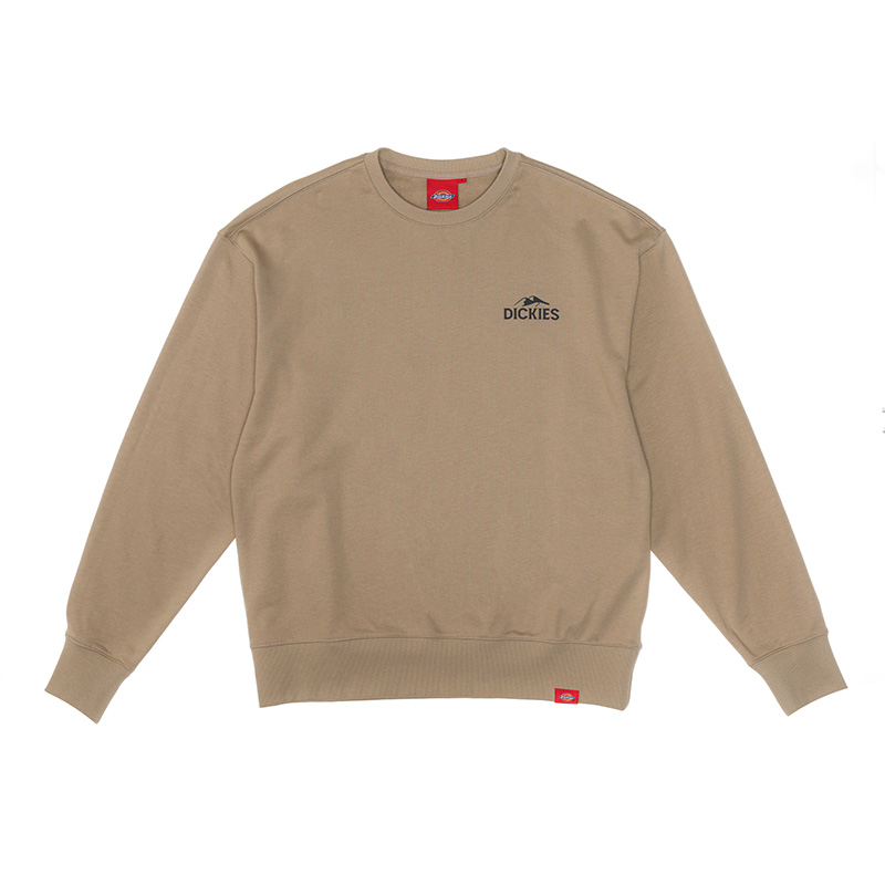 Dickies Fashion Loose Fit Cotton Crewneck Sweatshirt DK0A87D8