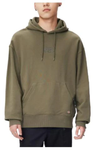 dickies-fw-22-logo-print-hoodie-long-sleeve-pullover-dk-010950