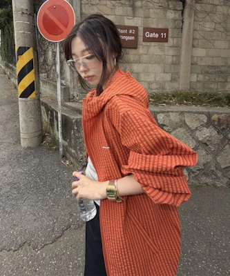 Dickies Grid Check Light Windbreaker Orange DIKU251LRJK004OR Lookbook Dickies Grid Check Light Windbreaker Orange DIKU251LRJK004OR