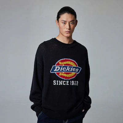 Dickies 徽標補丁圓領休閒寬鬆版型男女時尚運動衫 DK0A87F1 Shop Dickies 徽標補丁圓領休閒寬鬆版型男女時尚運動衫 DK0A87F1