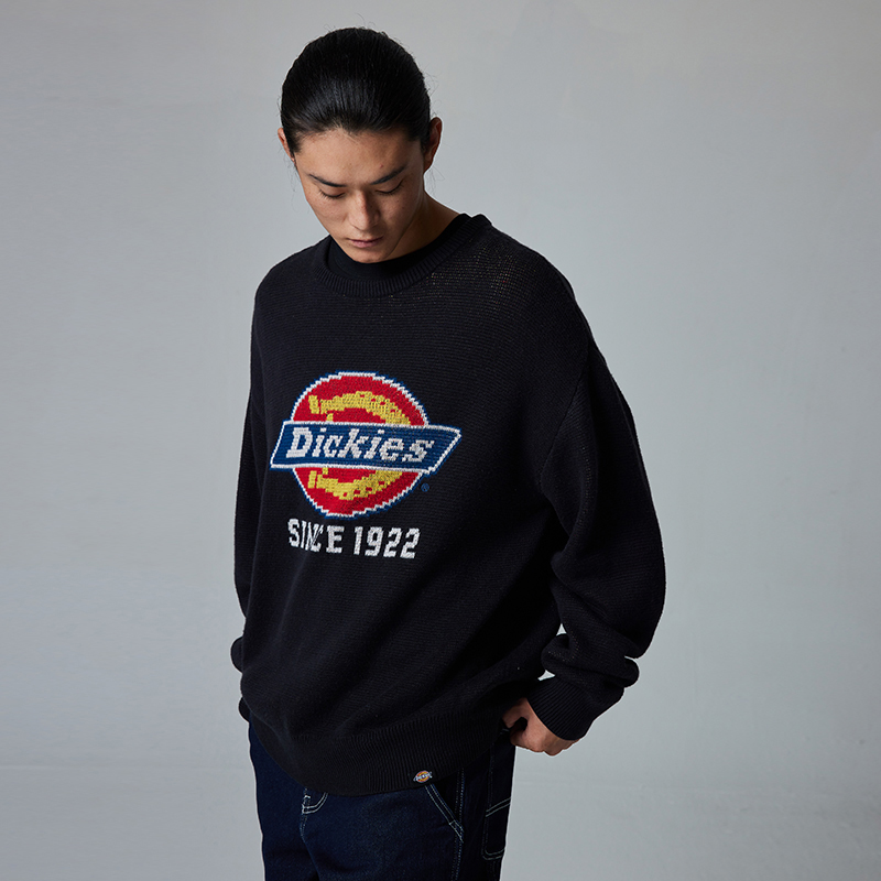 Purchase Dickies 徽標補丁圓領休閒寬鬆版型男女時尚運動衫 DK0A87F1
