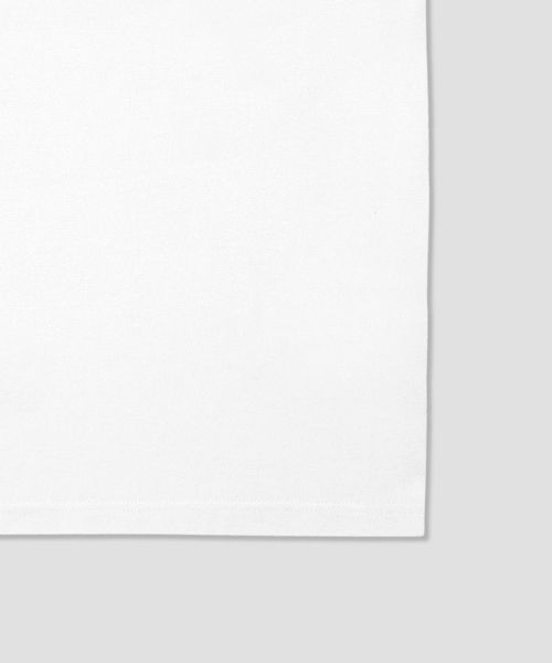 Purchase Dickies Tree Logo Ringer T-Shirt White DIKU251LRTS005WH0