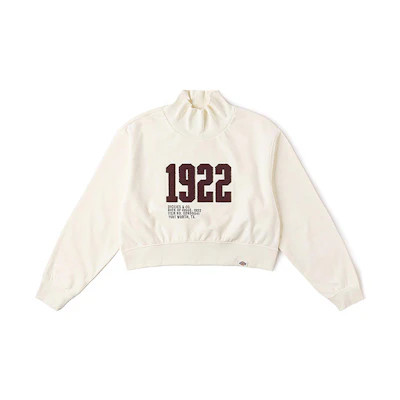 Dickies Unisex Solid Casual Stand Collar Sweatshirt Egret White DK0A87L9C48