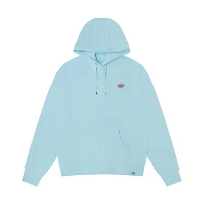 Dickies Unisex Solid Color Loose Fit Pullover Hoodie Long Sleeve DK010945-169136-B25