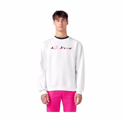 Dickies BCA DABEIYUZHOU Crewneck Pullover Sweatshirt Unisex Long Sleeve DK012215-C4D