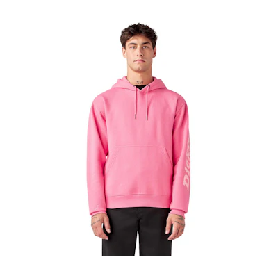 Dickies BCA DABEIYUZHOU Letter Print Hoodie Unisex DK012217-CW4