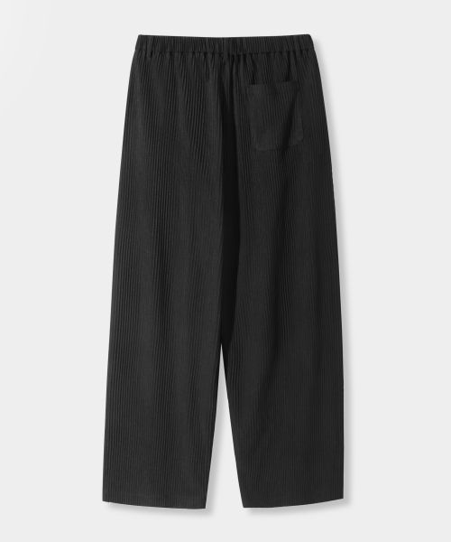 Lookbook 디미트리 블랙 ASI 와이드 원턱 플리츠 팬츠 - 블랙 ABD4PL03BK