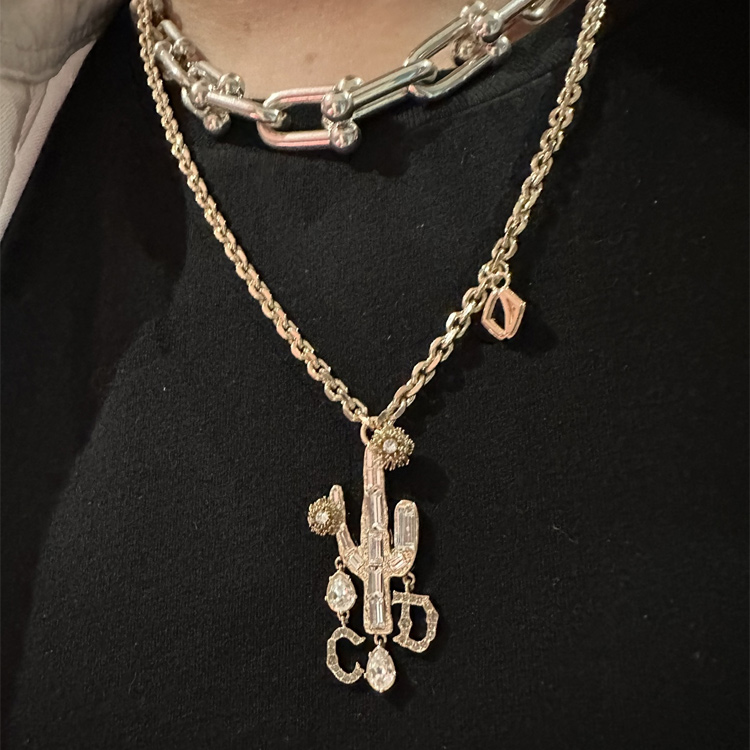 DIOR  Alloy Necklace - Stylish, Versatile, Casual Fashion Accessory N1639HOMMT 圖 5