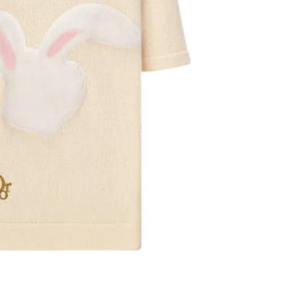 Details for DIOR Polo Camiseta Beige con Estampado de Conejo y Manga Corta 313M831AT498-C081